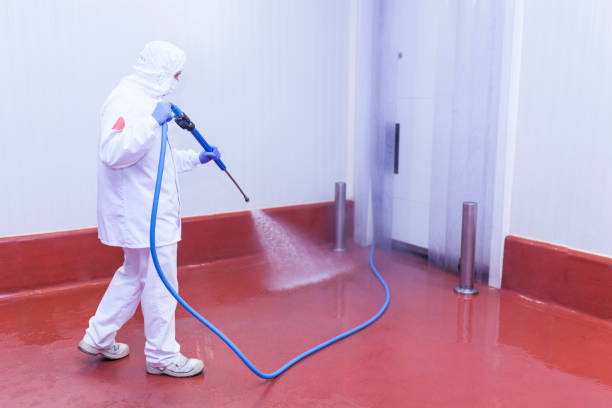 Best Graffiti Removal  in Forestville, MD